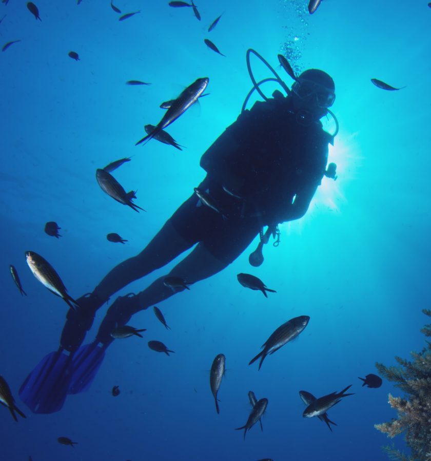 Panoptis Escape Mykonos Rituals - inner peace free diving